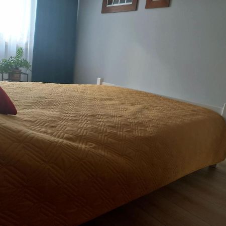 Mieszkanie Na Staszica W Gizycku Lötzen Exterior foto