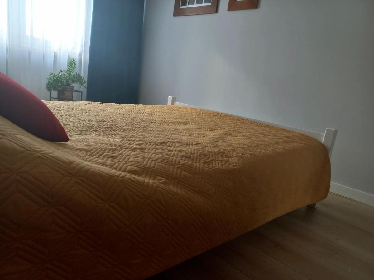 Mieszkanie Na Staszica W Gizycku Lötzen Exterior foto
